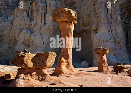 UTAH - i Toadstools dove harden massi rotolare giù dalle scogliere sopra e proteggere la pietra arenaria più morbido al di sotto da erosione. Foto Stock