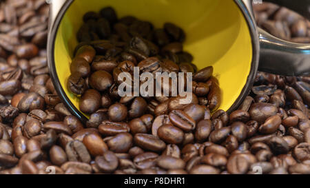 Chicco di caffè closeup con fagioli in giallo cup Foto Stock