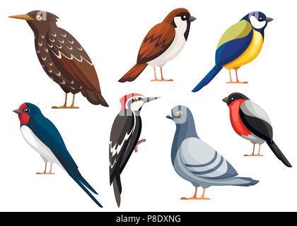 Coloratissima collezione di uccelli. Pigeon, Sparrow, cincia, Swallow, picchio Starling, Bullfinch. Piatto icona degli uccelli. Illustrazione di vettore isolato su bianco Illustrazione Vettoriale