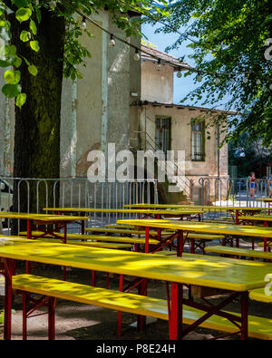 Prenzlauerberg di Berlino. Prater Garten beer garden, self-service giardino della birra sotto alberi di castagno, con birre locali Foto Stock