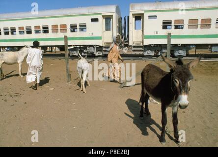 Sudan settentrionale, terminale ferroviario nella città di Karima Foto Stock