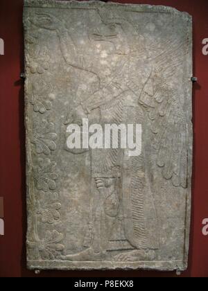 Uccello con testa di divinità dall'albero sacro. Sollievo dal palazzo di Ashurnasirpal II a Kalhu, Nimrud. Museo: Membro Hermitage di San Pietroburgo. Foto Stock