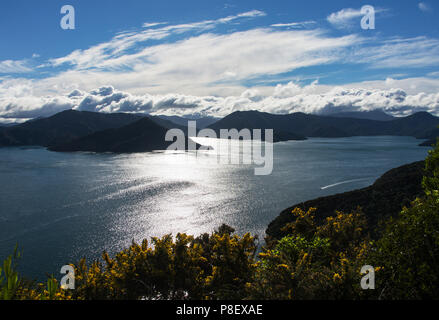 Guardando verso il Marlborough Sounds dal muso di marciapiede in Picton Foto Stock