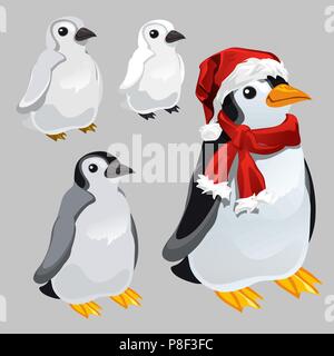 Pinguino in sciarpa rossa e il cappello in stile di anno nuovo e di Natale isolato su sfondo grigio. Vector cartoon close-up illustrazione. Illustrazione Vettoriale