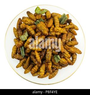 La cucina e il cibo, vista dall'alto del tailandese tradizionale profondo fritto marinato vermi di noce di cocco con erbe isolati su sfondo bianco. Uno dei più popolari str Foto Stock