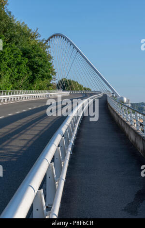 Liege Guillemins stazione in Belgio, l'Architetto Santiago Calatrava Foto Stock