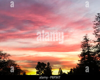 Struttura vibrante Silhouette Cielo di tramonto. Foto Stock