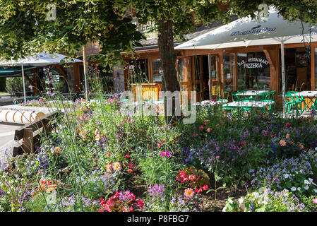 Bella colorata Mixed Annual Flowers in un letto di fiori fuori l'Op'Traken Bar e Ristorante a Les Gets Haute-Savoie Portes du Soleil Francia Foto Stock