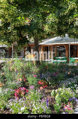 Bella colorata Mixed Annual Flowers in un letto di fiori fuori l'Op'Traken Bar e Ristorante a Les Gets Haute-Savoie Portes du Soleil Francia Foto Stock