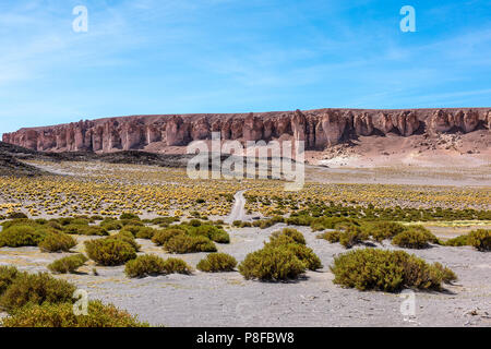 La strada verso la Cattedrale di Tarra formazioni rocciose, Paso de Jama, San Pedro de Atacama, Antofagasta, Cile Foto Stock