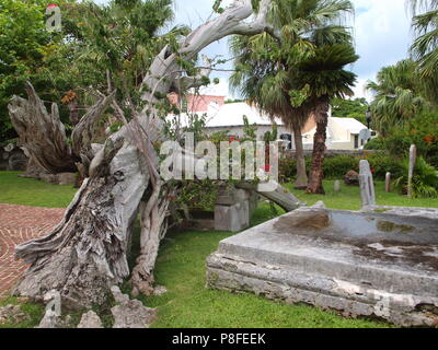 Chiesa di San Pietro, San Giorgio, Bermuda e il suo cimitero annesso con un enorme vecchio albero caduto. Foto Stock