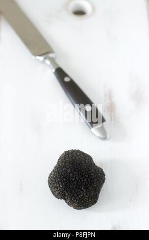 Fungo tartufo nero su un tavolo di legno. Trovato in Moldavia nel luglio 2018. Messa a fuoco selettiva. Foto Stock