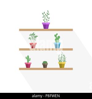 Illustrazione Vettoriale di vasi di piante e cactus, tre pot decorazione piante da giardino Illustrazione Vettoriale