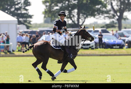 Il principe William gioca con la Maserati carità corrisponde al Beaufort Polo Club nel Gloucestershire dotate: Prince William, William Duca di Cambridge dove: Tetbury, Regno Unito quando: 10 giu 2018 Credit: John Rainford/WENN Foto Stock