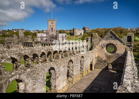 Palazzo del Vescovo, St. David's Cathedral Foto Stock