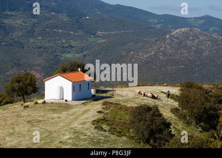 Chiesa di Agia Paraskeuh, Kalanistra, Achaia, Peloponneso, Grecia Foto Stock