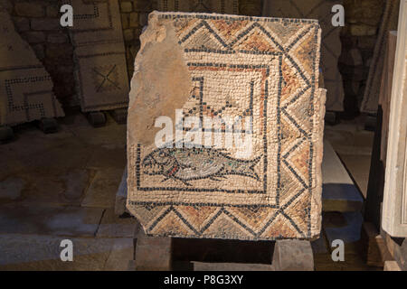 Mosaico di pesce, Euphrasius Basilica, Parenzo in Istria, Croazia Foto Stock