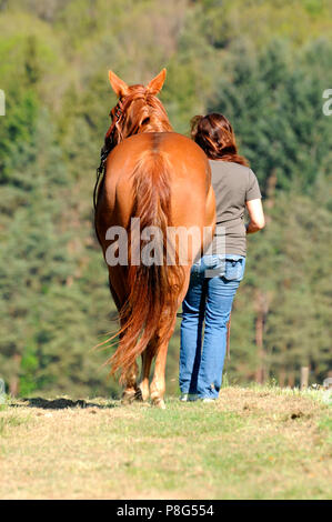 Donna e Quarter Horse, mare, sorrell Foto Stock