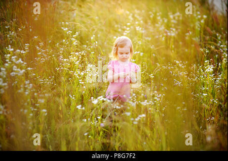 Adorabile bambina in un prato in estate o in autunno Foto Stock