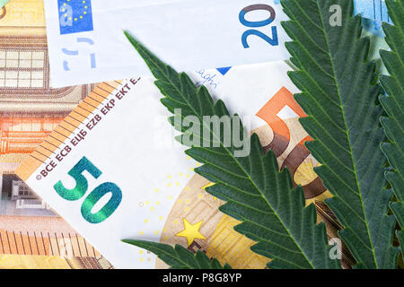 La prospera attività di coltivazione di cannabis di distribuzione e di vendita. Una foglia di cannabis su euro bills. Foto Stock