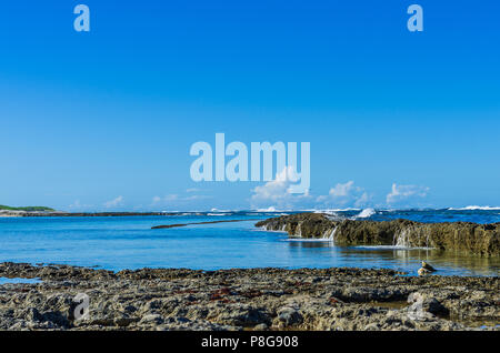 Costa vicino a Pointe des Chateaux, Guadalupa Foto Stock