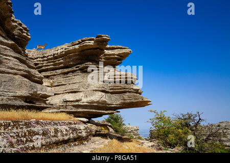 Torcal de Antequera, Eerosion lavorando su Jurassic calcari, sito Patrimonio Mondiale dell'UNESCO. Provincia di Malaga in Andalusia. Spagna del sud Europa Foto Stock