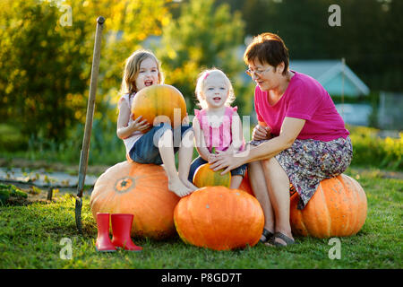 Due piccole sorelle e i loro grandmom seduto su un enorme varietà di zucche Foto Stock