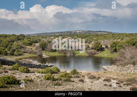 Piccolo laghetto, luogo di irrigazione per gli ovini in primavera nei pressi di Srem (isola di Cres, Croazia) Foto Stock