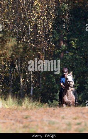 Zernikov, donna a cavallo di un trotter sul suo cavallo attraverso una foresta Foto Stock