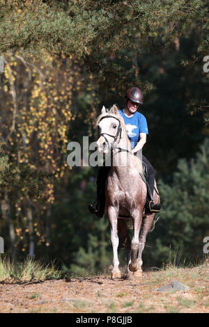 Zernikov, donna a cavallo di un trotter sul suo cavallo attraverso una foresta Foto Stock