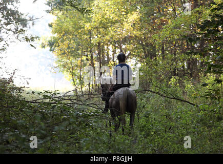 Zernikov, donna è cavalcare il suo cavallo nel passaggio attraverso una foresta Foto Stock