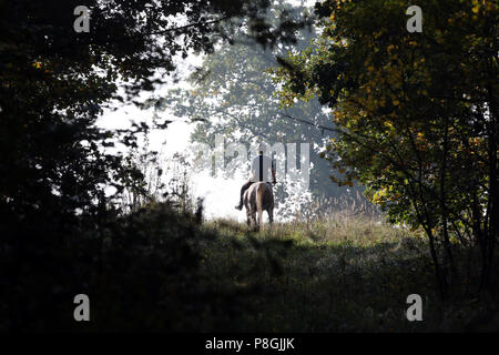 Zernikov, donna è cavalcare il suo cavallo nel passaggio attraverso una foresta Foto Stock