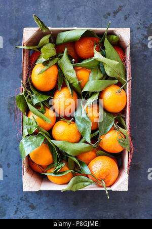 Le clementine con foglie in casse di legno Foto Stock