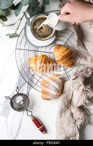 Croissant fatti in casa intera e a fette con lo zucchero in polvere il raffreddamento per rack. La prima colazione con tazza di caffè. Bambino la mano versando il latte. Decorata da eucalyptu Foto Stock