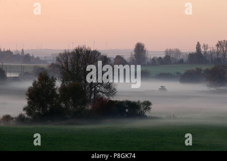 Goerlsdorf, Germania, nebbia di mattina sui campi del Uckermark Foto Stock