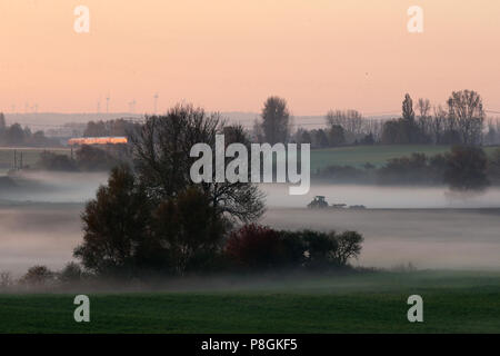 Goerlsdorf, Germania, nebbia di mattina sui campi del Uckermark Foto Stock