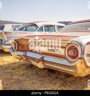 Una fila di vecchie auto a junkyard nel sudovest degli Stati Uniti, Glendale, Utah con un vecchio arrugginito Ford Galaxie 500. Foto Stock