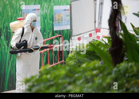 Hong Kong, Cina, uomo spray insetticidi su una boccola Foto Stock