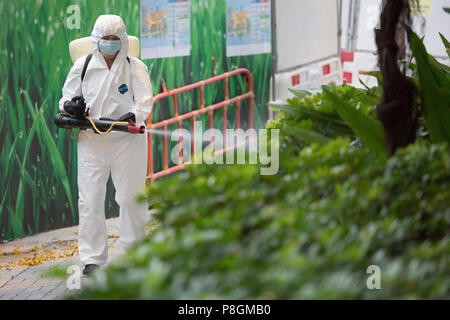 Hong Kong, Cina, uomo spray insetticidi su una boccola Foto Stock