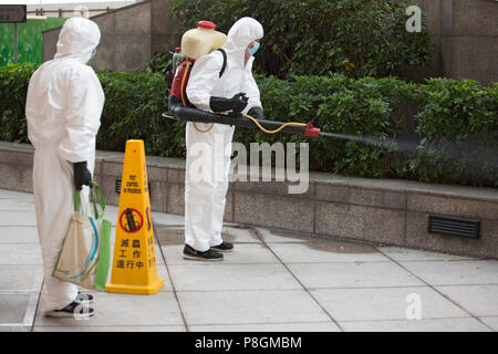 Hong Kong, Cina, uomo spray insetticidi su una boccola Foto Stock