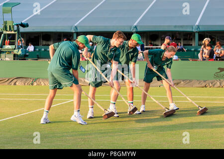 Corte assistenti di manutenzione strisciare una erba di Wimbledon corte per preservare il prato Foto Stock