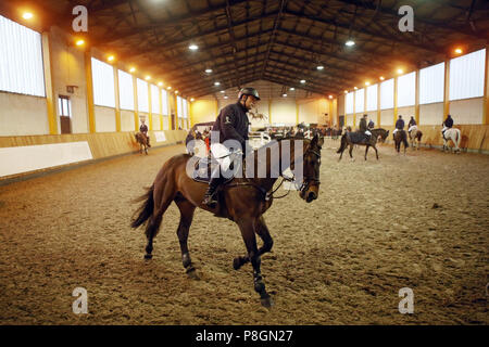 Neustadt (Dosse), cavalli e cavalieri in inverno a un torneo in concorso hall Foto Stock