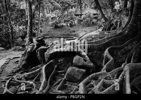 I motivi dell'indù santuario Goa Gajah conosciuta anche come la grotta di elefante, IX secolo - Ubud, Bali, Indonesia Foto Stock