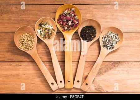 Cucchiai di legno con diverse erbe per infusione, in stile rustico, su sfondo di legno. Foto Stock