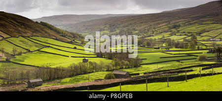 Regno Unito, Inghilterra, Yorkshire, Swaledale, vista panoramica di maggiore Swaledale con campi separati da muri in pietra a secco da Angram Foto Stock