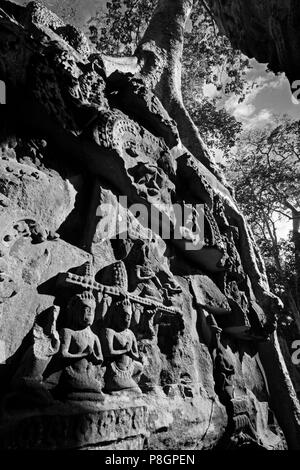 Di seta o di cotone kapok tree (Ceiba Pentandra) cresce sopra le rovine Khmer di Ta Prohm, costruito da Jayavarman VII a Angkor Wat - Siem Reap, Cambogia Foto Stock