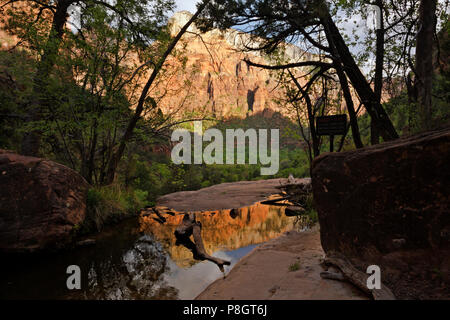 UT00428-00...Utah - Riflessione in Medio Emerald piscina situata in Zion Canyon nel Parco Nazionale di Zion. Foto Stock
