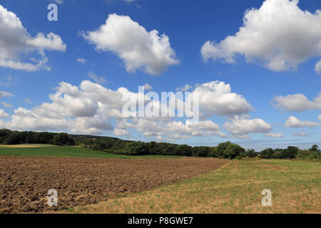 Nuvole bianche in un cielo blu sopra i campi agricoli del fiume Valle Douglas in Lancashire Foto Stock