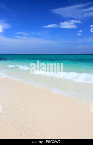 Thailandia, Sud-est asiatico - Thai parco nazionale marino di paesaggio. Isola di bambù nella provincia di Krabi. Foto Stock