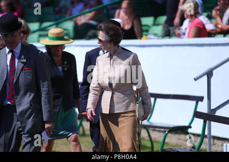 Harrogate, Regno Unito. 11 Luglio, 2018. Princess Anne frequentando il centosessantesimo grande Yorkshire mostrano in Harrogate Credito: Yorkshire Pics/Alamy Live News Foto Stock